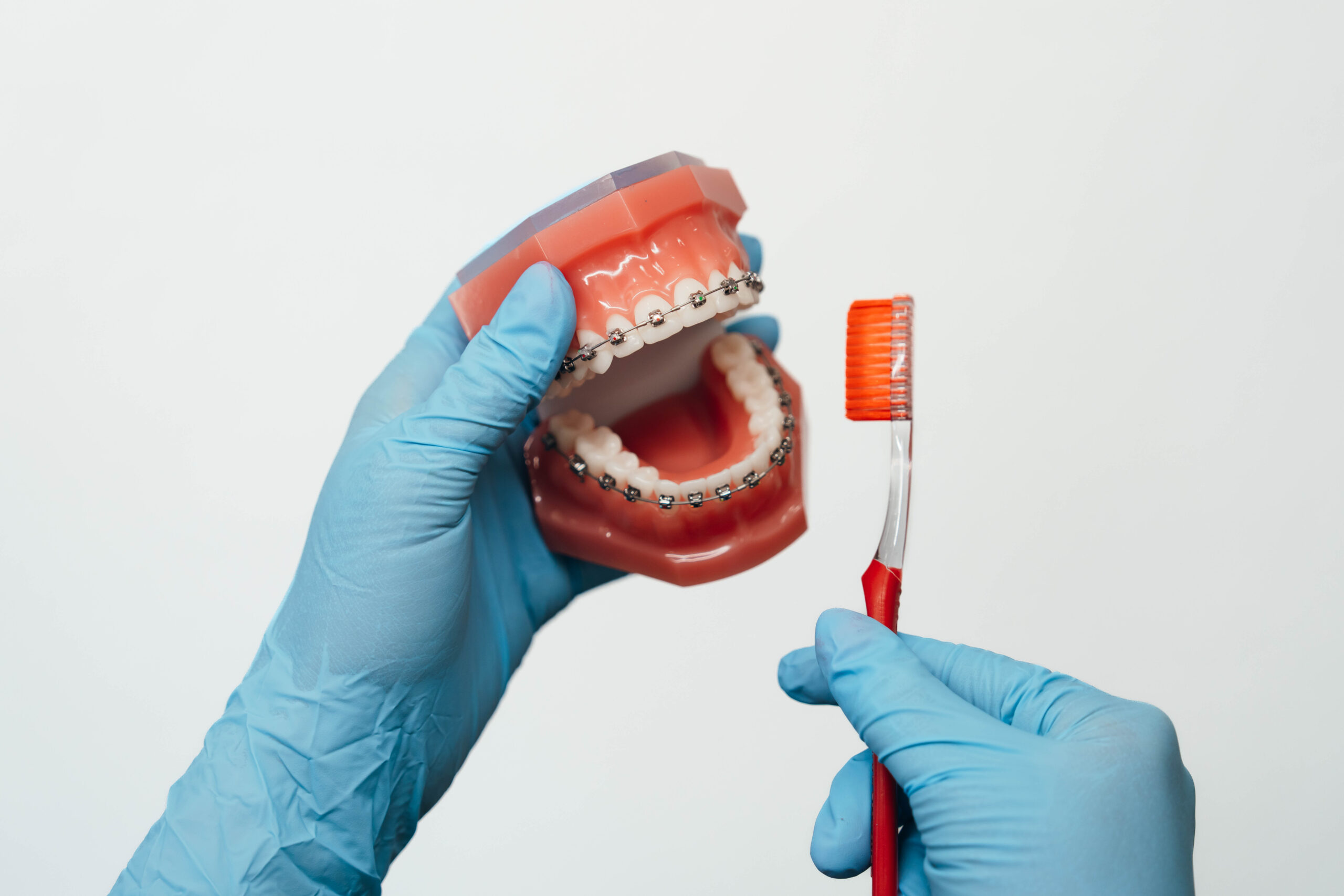 Model of braces being brushed.